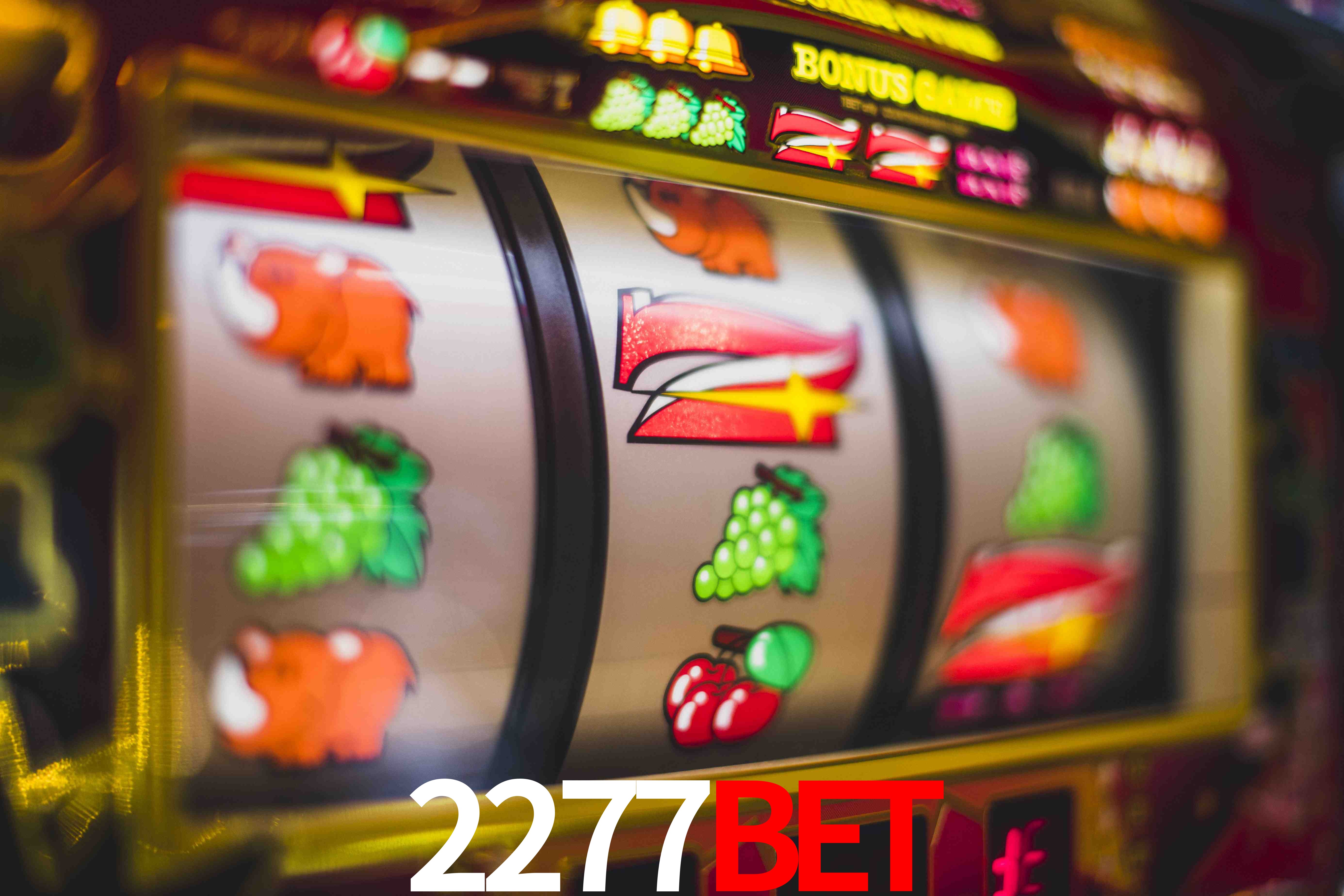 Experiência VIP 2277bet